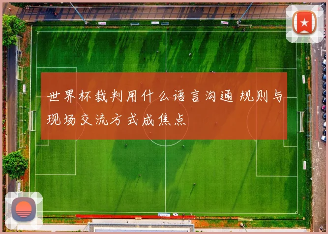 世界杯裁判用什么语言沟通 规则与现场交流方式成焦点