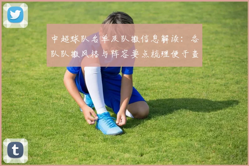 中超球队名单及队徽信息解读：各队队徽风格与阵容要点梳理便于查阅