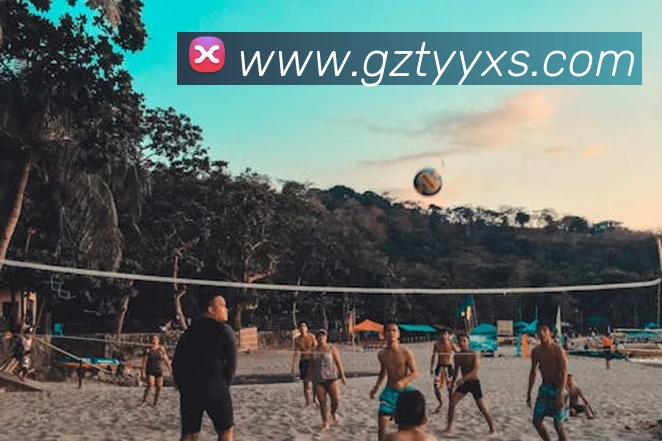 leyu乐鱼网址平台生态图